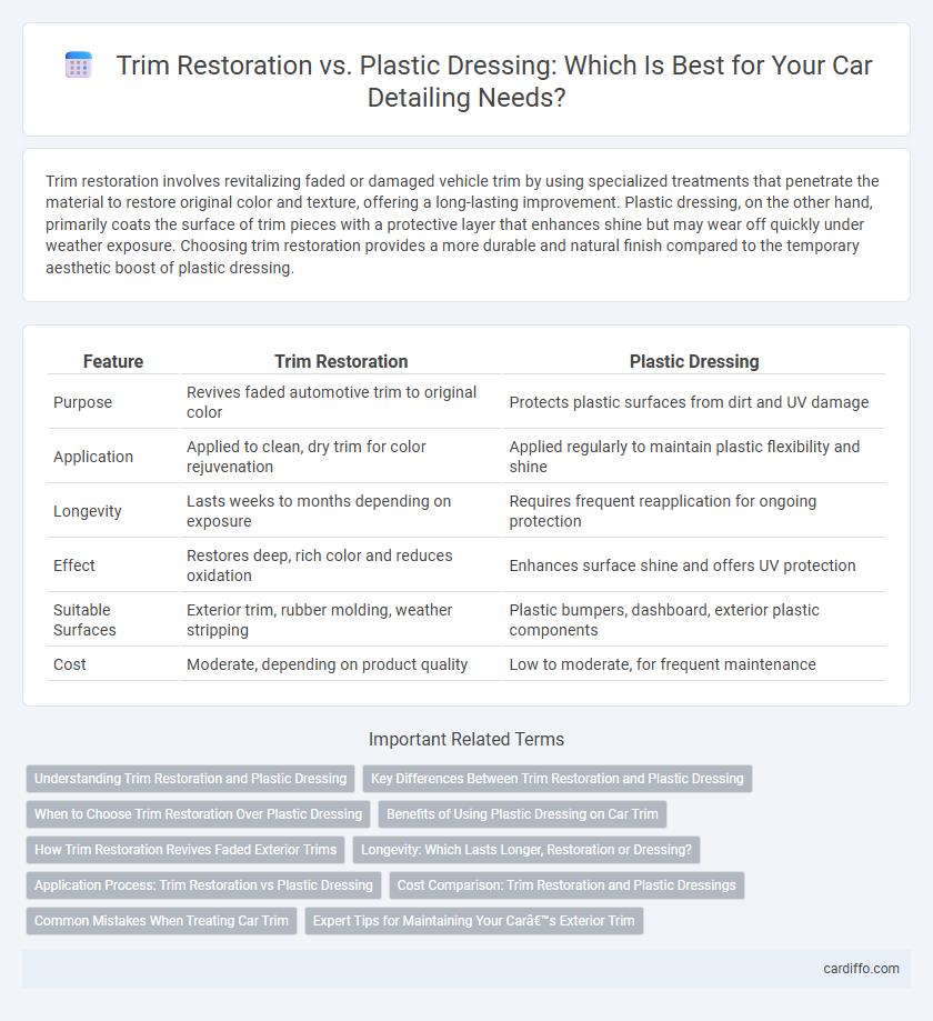 Trim Restoration vs. Plastic Dressing: Which Is Best for Your Car Detailing Needs?