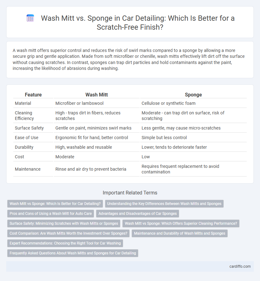 Wash Mitt vs. Sponge in Car Detailing: Which Is Better for a Scratch-Free Finish?