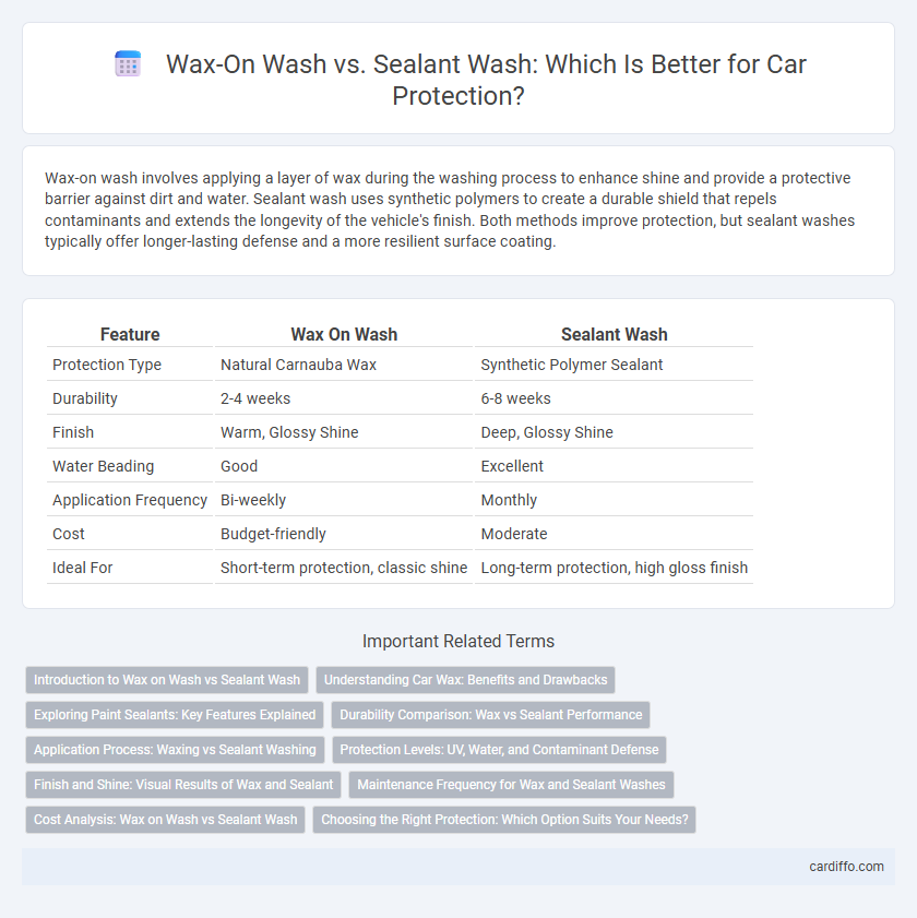 Wax-On Wash vs. Sealant Wash: Which Is Better for Car Protection?