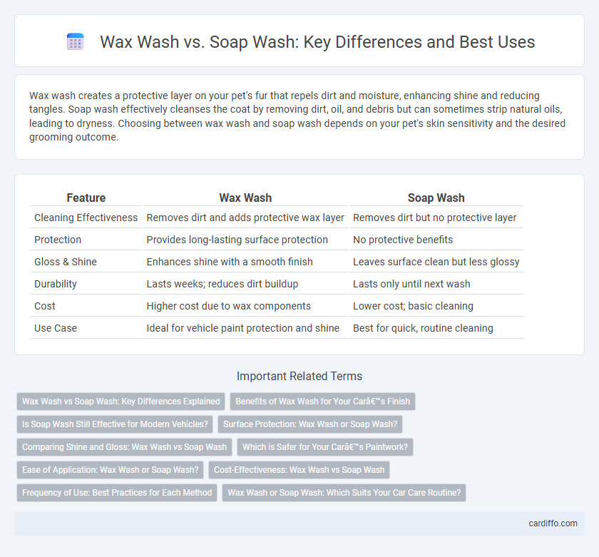 Wax Wash vs. Soap Wash: Key Differences and Best Uses