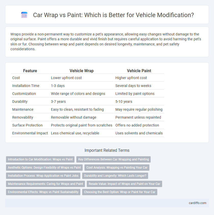 Car Wrap vs Paint: Which is Better for Vehicle Modification?