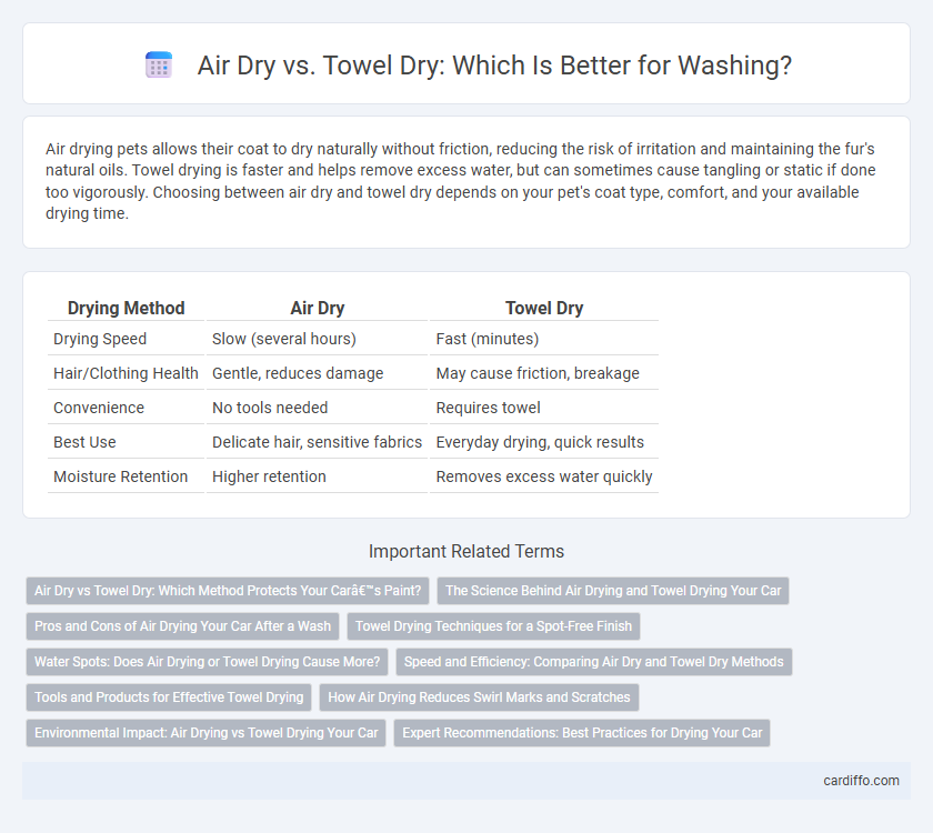Air Dry vs. Towel Dry: Which Is Better for Washing?