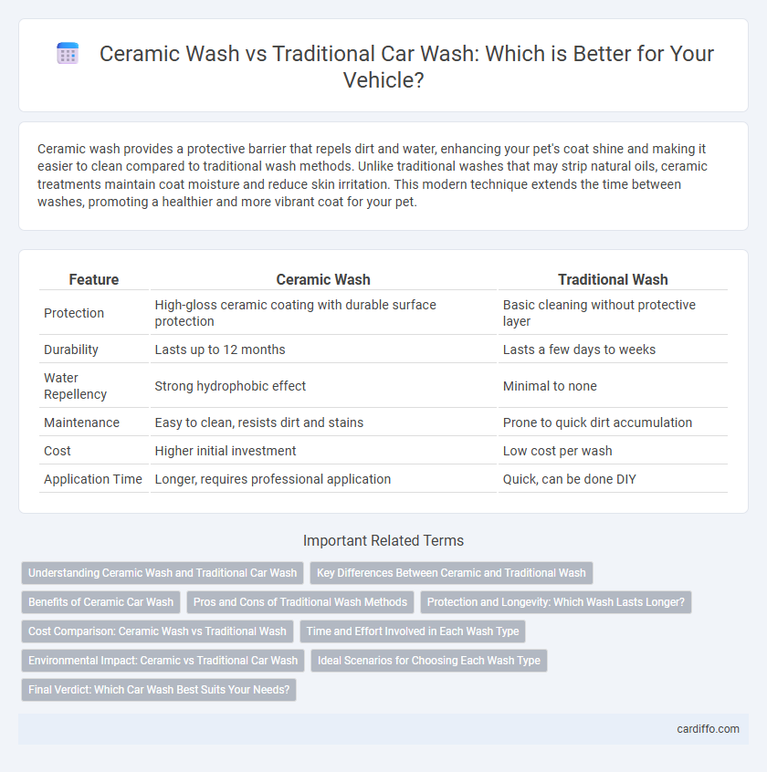 Ceramic Wash vs Traditional Car Wash: Which is Better for Your Vehicle?