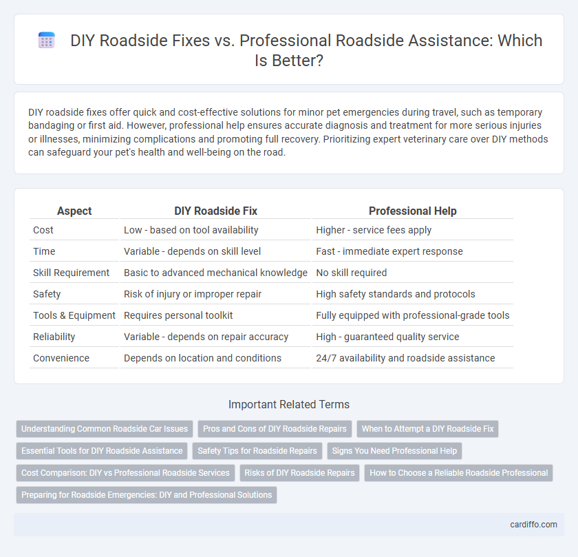 DIY Roadside Fixes vs. Professional Roadside Assistance: Which Is Better?