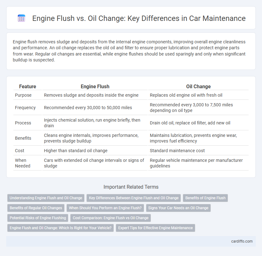 Engine Flush vs. Oil Change: Key Differences in Car Maintenance