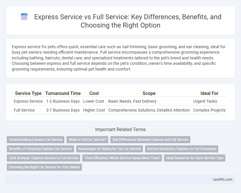 Express Service vs Full Service: Key Differences, Benefits, and Choosing the Right Option