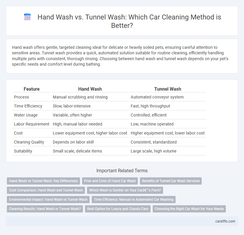 Hand Wash vs. Tunnel Wash: Which Car Cleaning Method is Better?