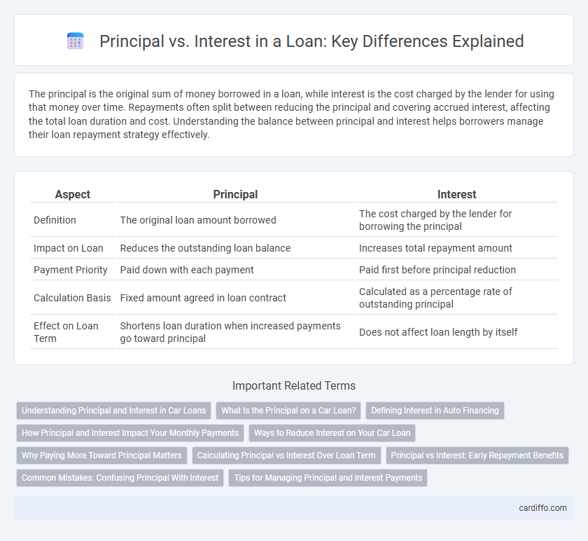 Principal vs. Interest in a Loan: Key Differences Explained