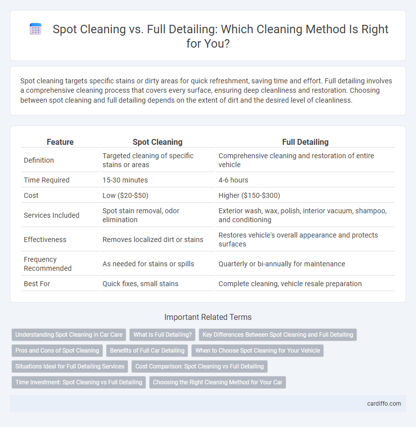 Spot Cleaning vs. Full Detailing: Which Cleaning Method Is Right for You?