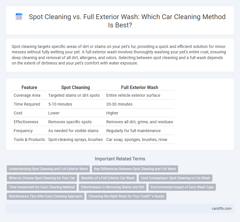 Spot Cleaning vs. Full Exterior Wash: Which Car Cleaning Method Is Best?