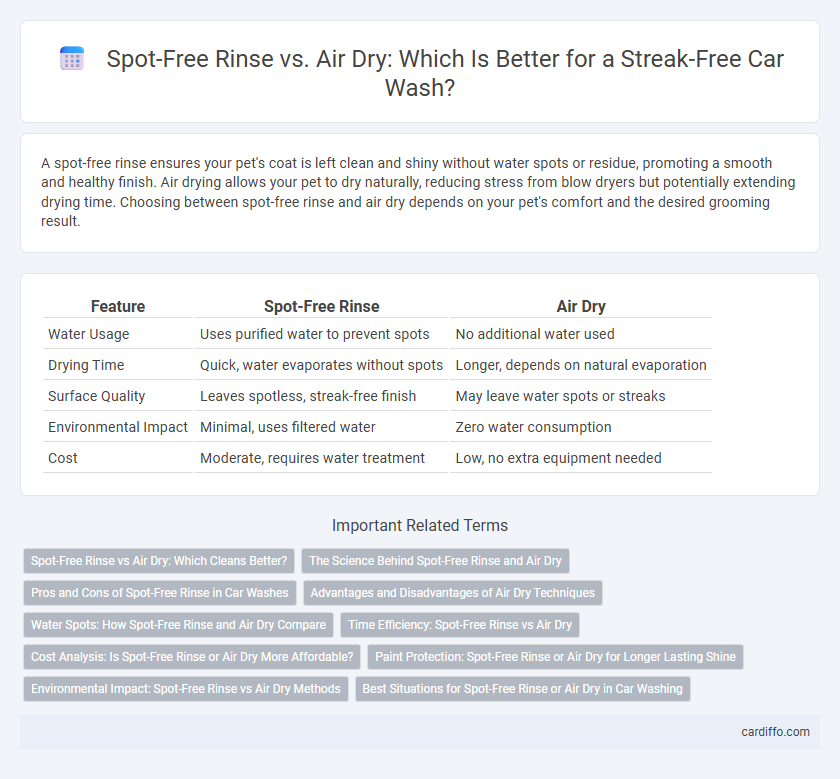 Spot-Free Rinse vs. Air Dry: Which Is Better for a Streak-Free Car Wash?