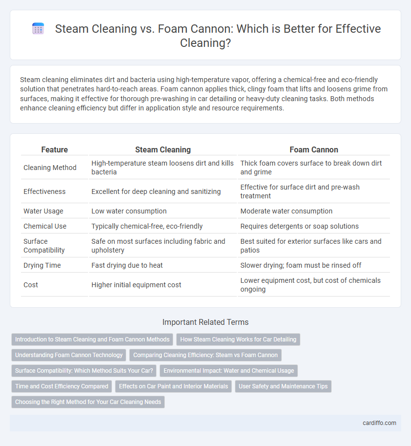 Steam Cleaning vs. Foam Cannon: Which is Better for Effective Cleaning?