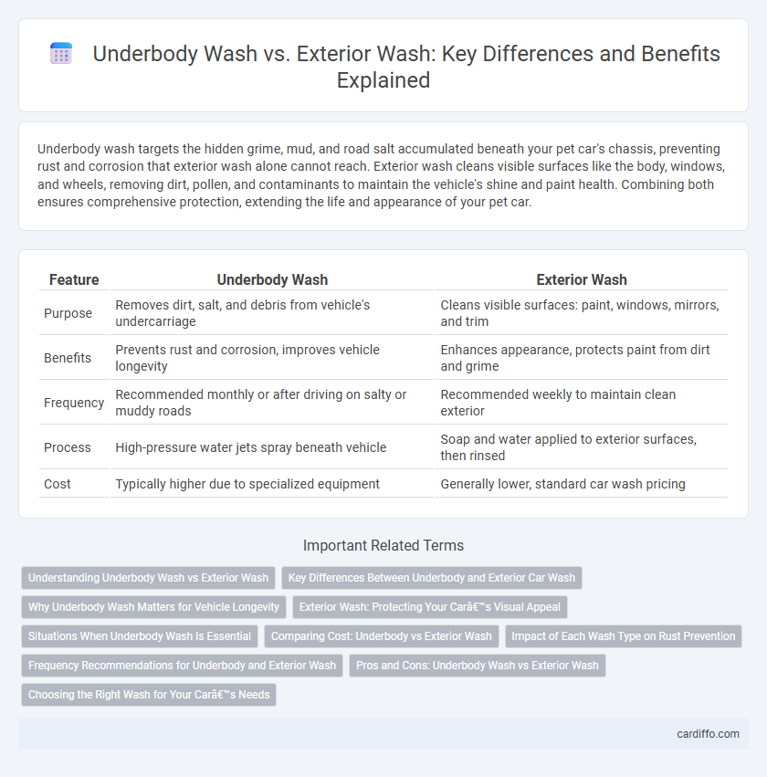 Underbody Wash vs. Exterior Wash: Key Differences and Benefits Explained