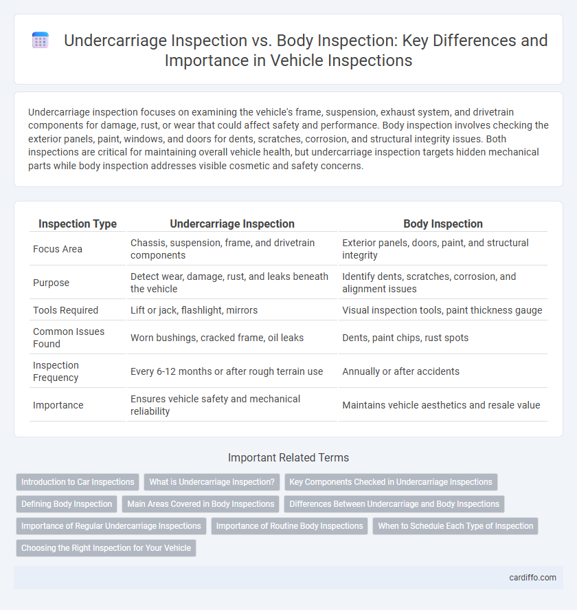 Undercarriage Inspection vs. Body Inspection: Key Differences and Importance in Vehicle Inspections