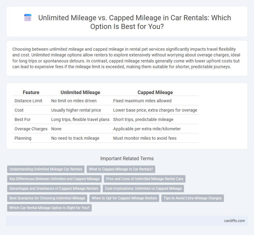Unlimited Mileage vs. Capped Mileage in Car Rentals: Which Option Is Best for You?