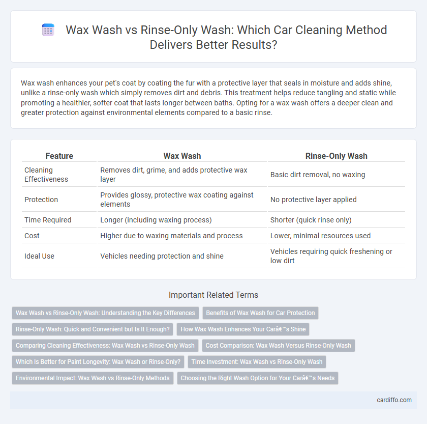 Wax Wash vs Rinse-Only Wash: Which Car Cleaning Method Delivers Better Results?