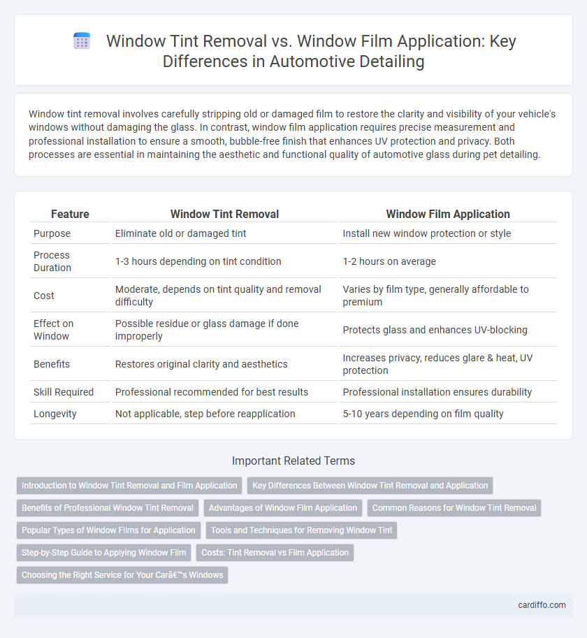 Window Tint Removal vs. Window Film Application: Key Differences in Automotive Detailing