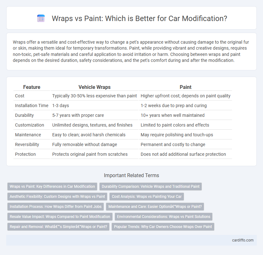 Wraps vs Paint: Which is Better for Car Modification?