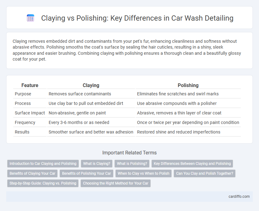 Claying vs Polishing: Key Differences in Car Wash Detailing