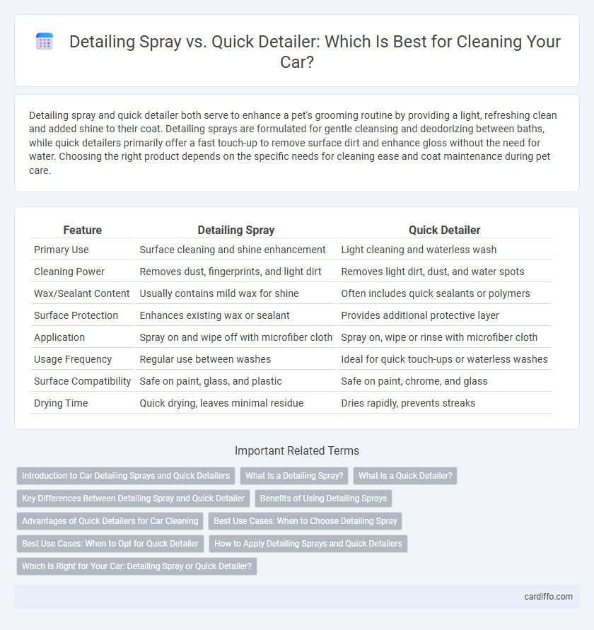 Detailing Spray vs. Quick Detailer: Which Is Best for Cleaning Your Car?