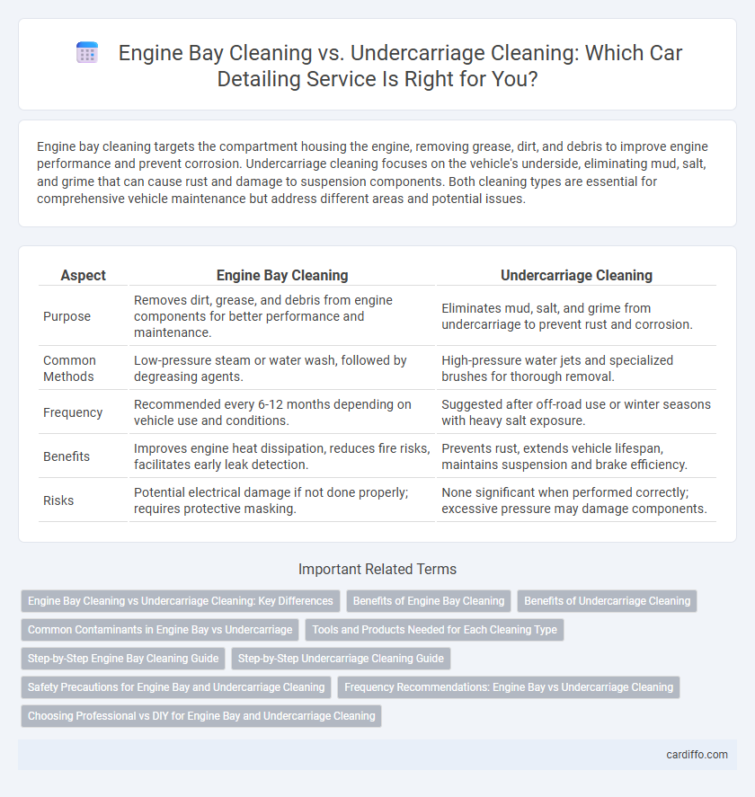 Engine Bay Cleaning vs. Undercarriage Cleaning: Which Car Detailing Service Is Right for You?