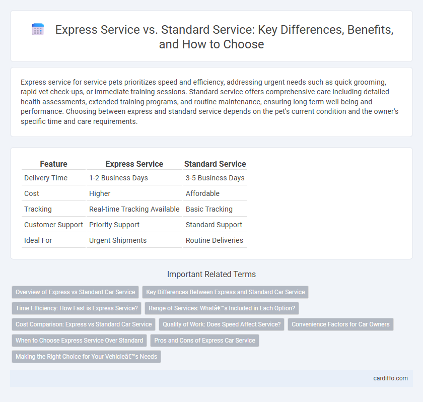 Express Service vs. Standard Service: Key Differences, Benefits, and How to Choose
