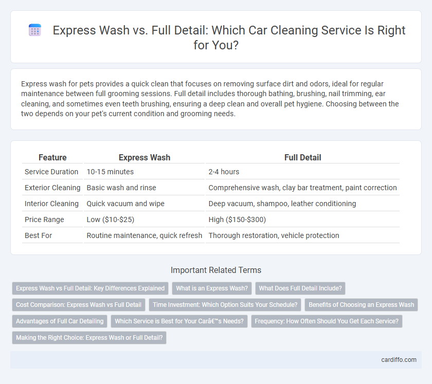 Express Wash vs. Full Detail: Which Car Cleaning Service Is Right for You?
