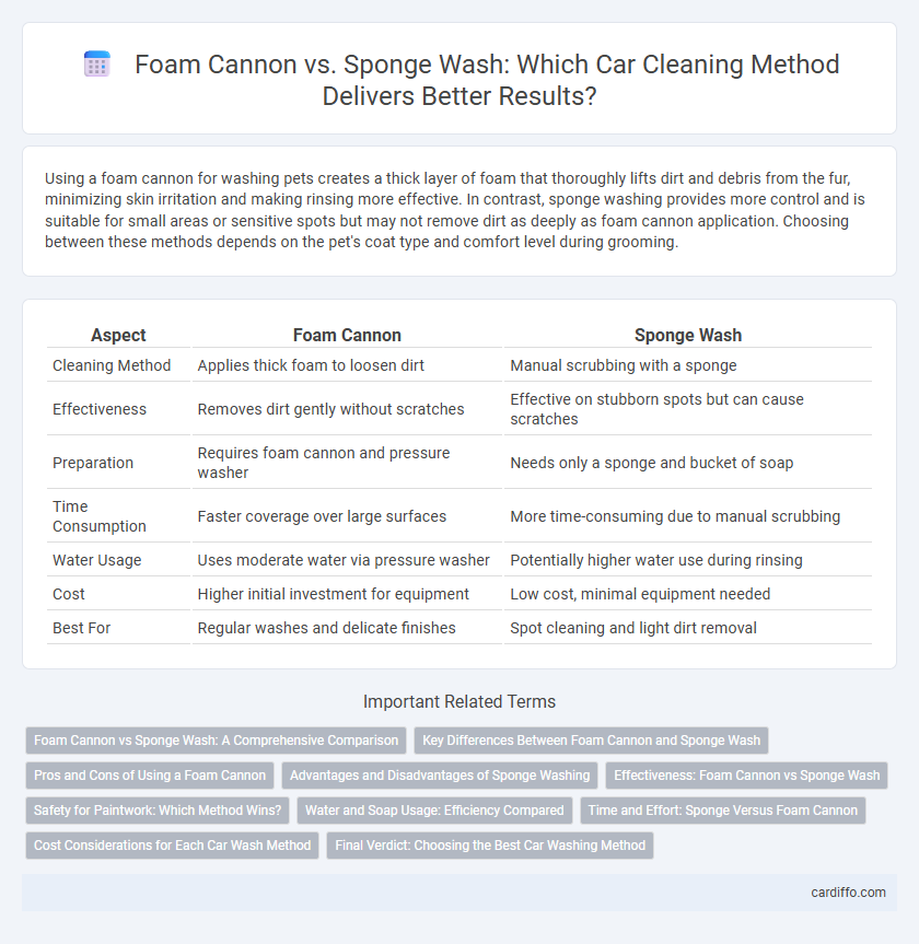 Foam Cannon vs. Sponge Wash: Which Car Cleaning Method Delivers Better Results?