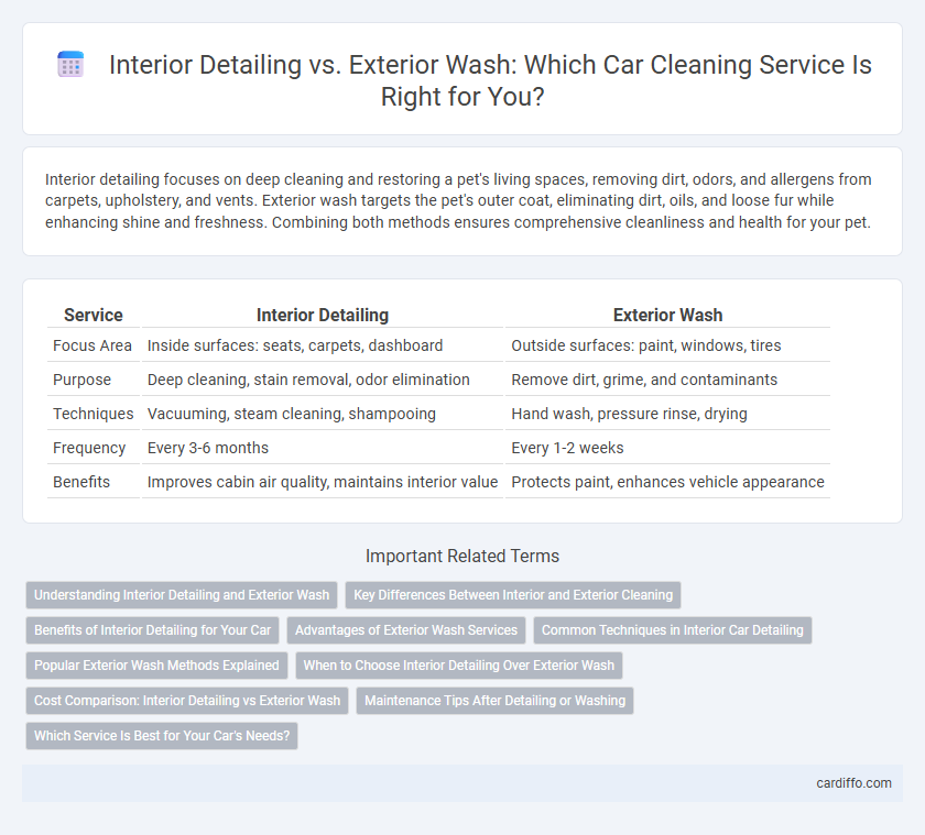 Interior Detailing vs. Exterior Wash: Which Car Cleaning Service Is Right for You?