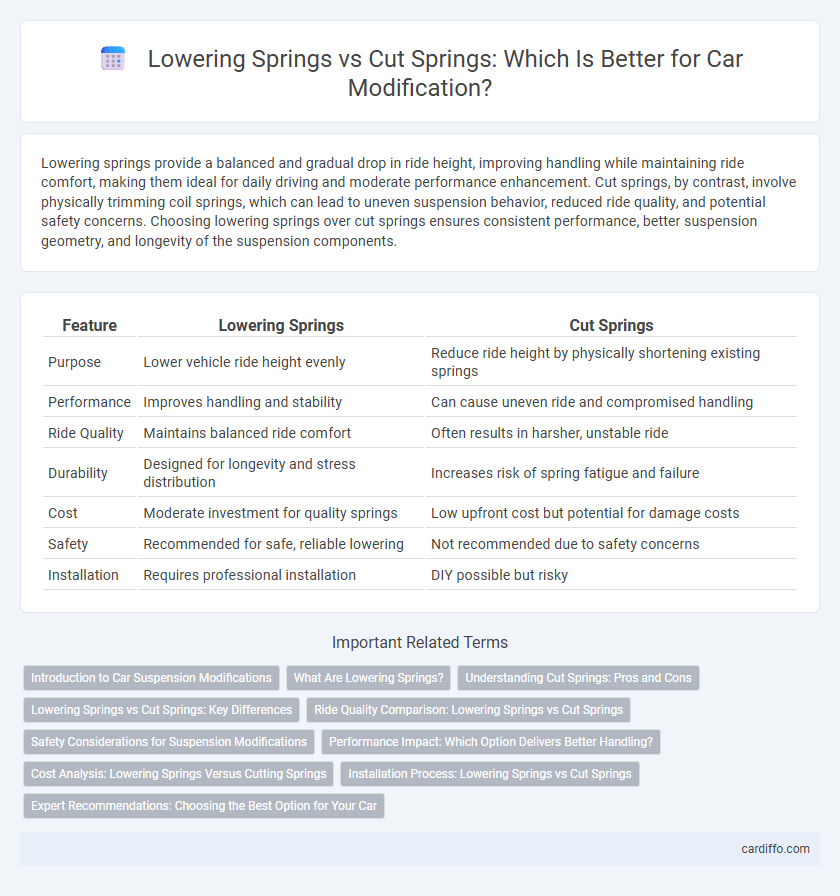Lowering Springs vs Cut Springs: Which Is Better for Car Modification?