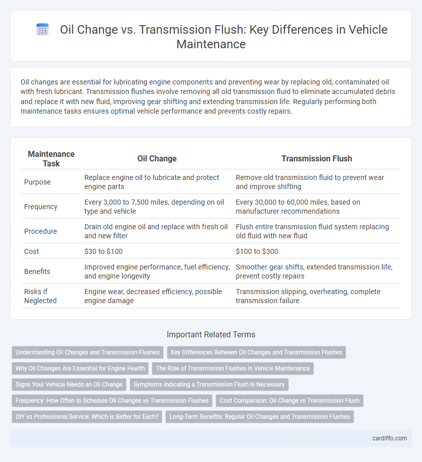 Oil Change vs. Transmission Flush: Key Differences in Vehicle Maintenance