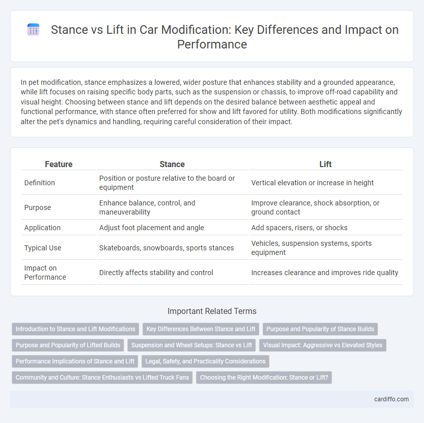 Stance vs Lift in Car Modification: Key Differences and Impact on Performance