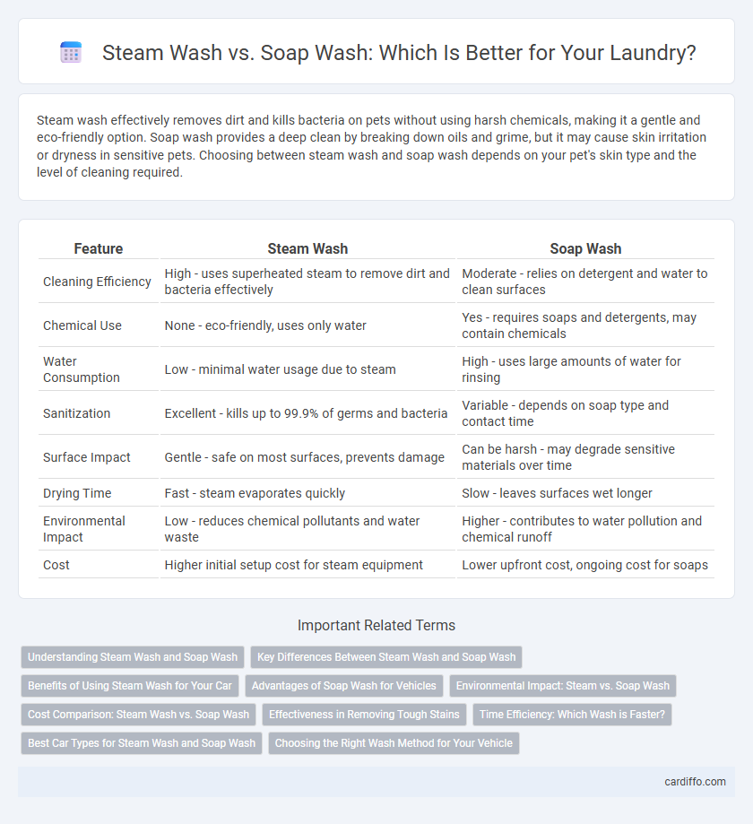 Steam Wash vs. Soap Wash: Which Is Better for Your Laundry?