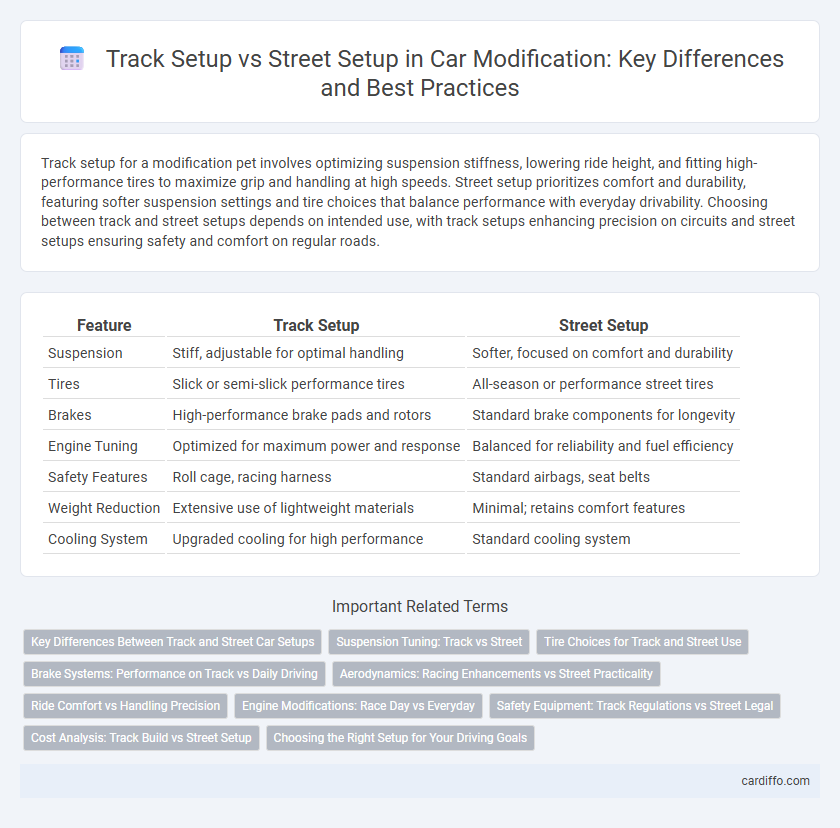 Track Setup vs Street Setup in Car Modification: Key Differences and Best Practices