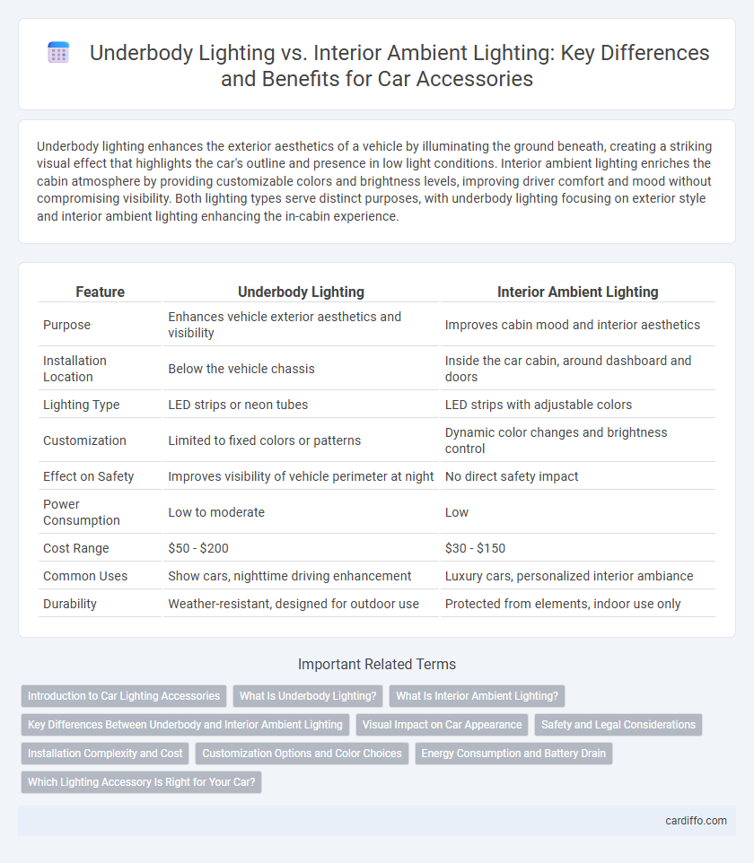 Underbody Lighting vs. Interior Ambient Lighting: Key Differences and Benefits for Car Accessories