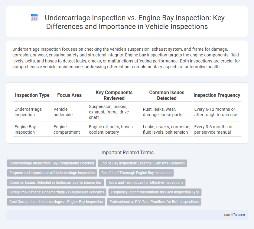 Undercarriage Inspection vs. Engine Bay Inspection: Key Differences and Importance in Vehicle Inspections