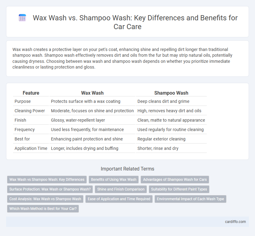 Wax Wash vs. Shampoo Wash: Key Differences and Benefits for Car Care