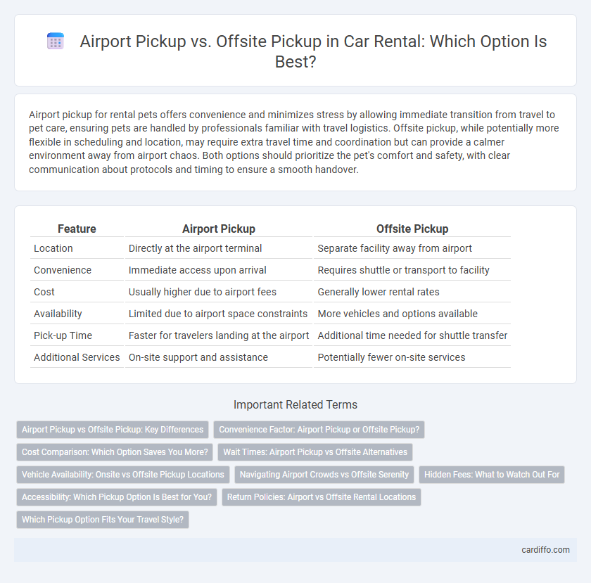 Airport Pickup vs. Offsite Pickup in Car Rental: Which Option Is Best?