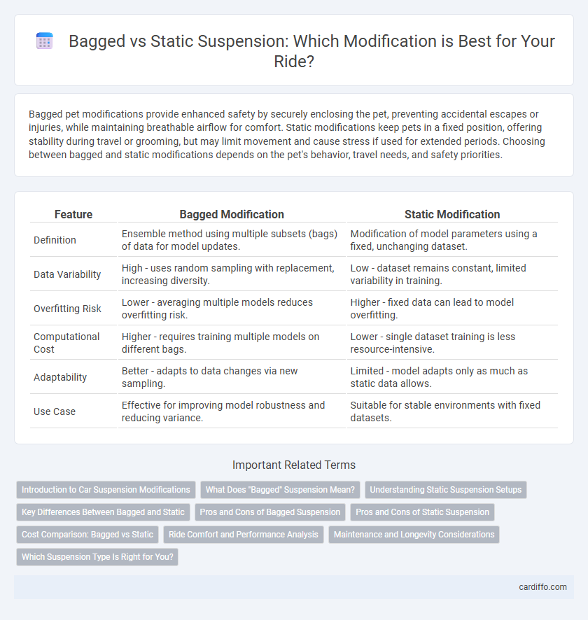 Bagged vs Static Suspension: Which Modification is Best for Your Ride?
