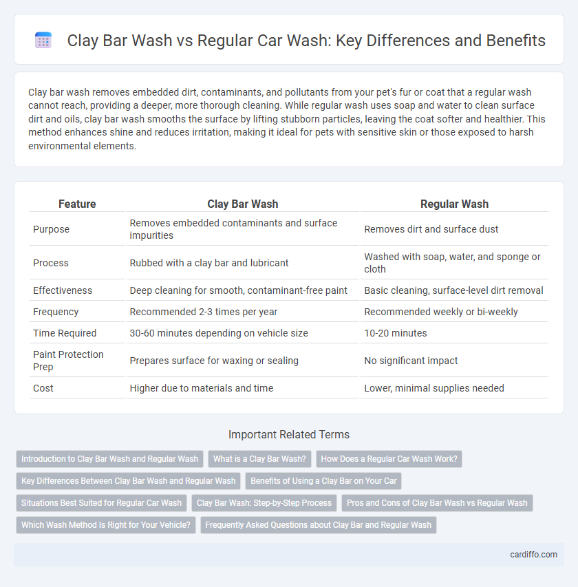 Clay Bar Wash vs Regular Car Wash: Key Differences and Benefits