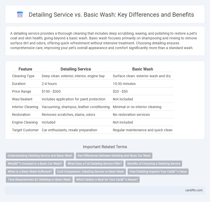 Detailing Service vs. Basic Wash: Key Differences and Benefits
