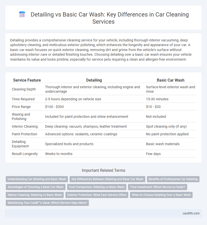 Detailing vs Basic Car Wash: Key Differences in Car Cleaning Services