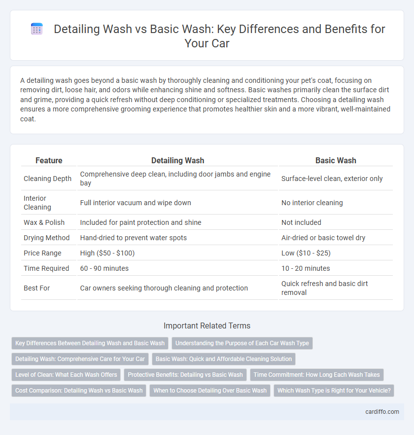 Detailing Wash vs Basic Wash: Key Differences and Benefits for Your Car