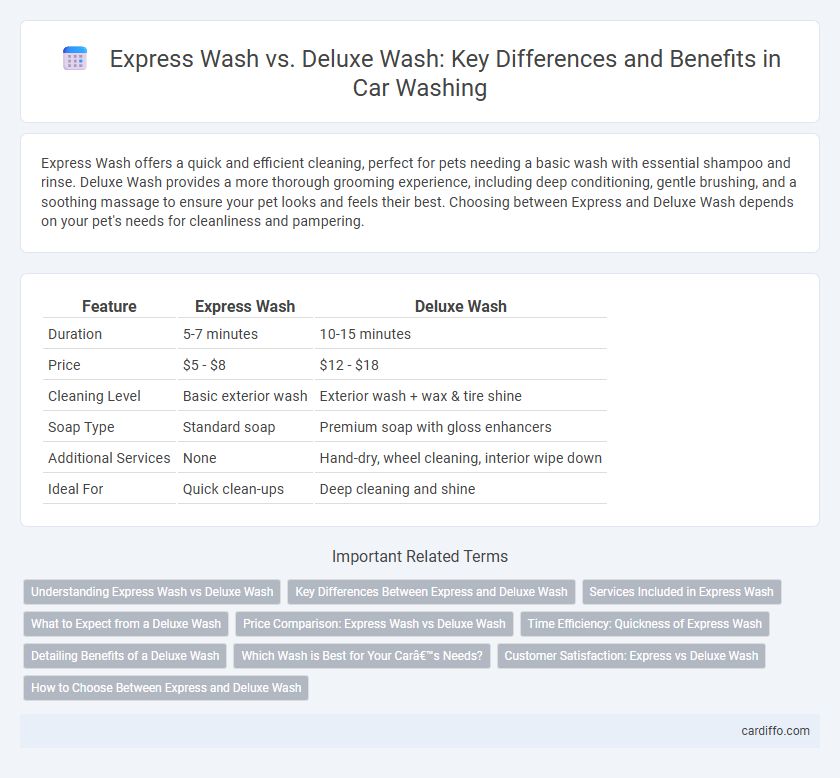 Express Wash vs. Deluxe Wash: Key Differences and Benefits in Car Washing