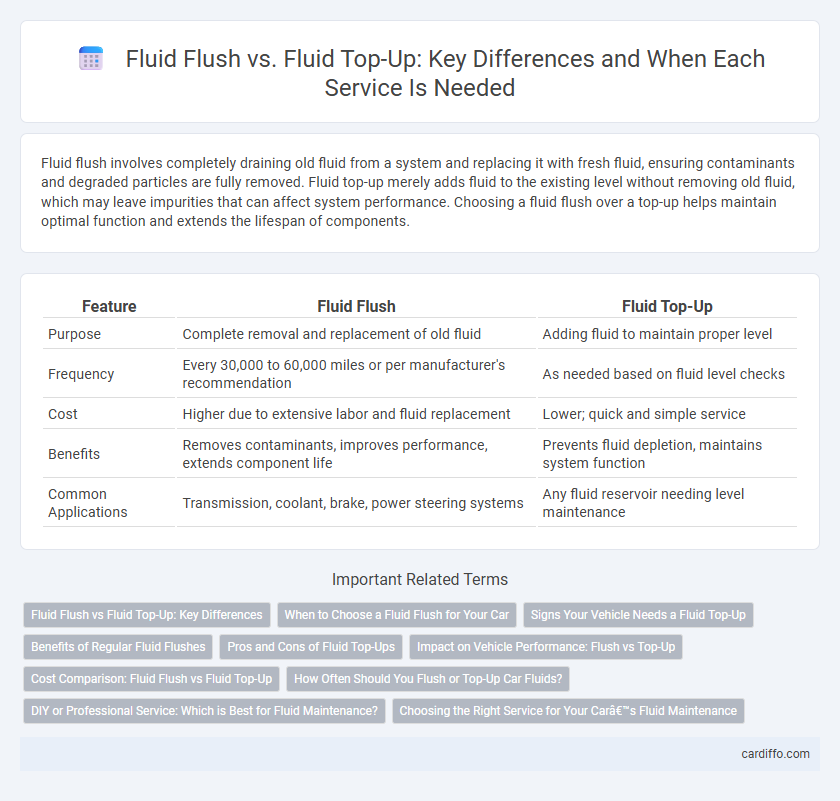 Fluid Flush vs. Fluid Top-Up: Key Differences and When Each Service Is Needed