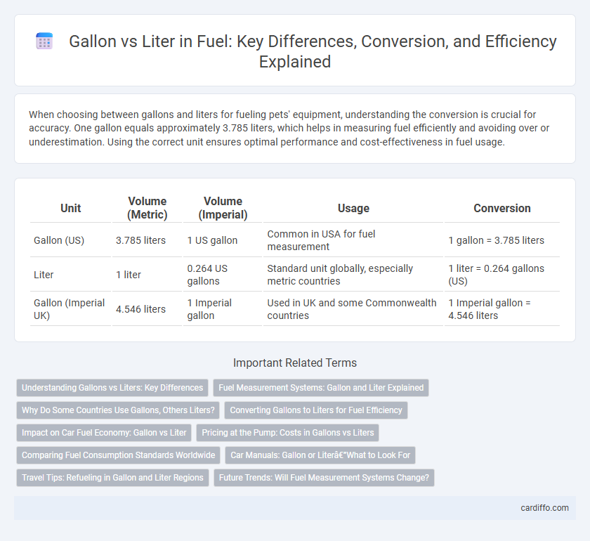 Gallon vs Liter in Fuel: Key Differences, Conversion, and Efficiency Explained