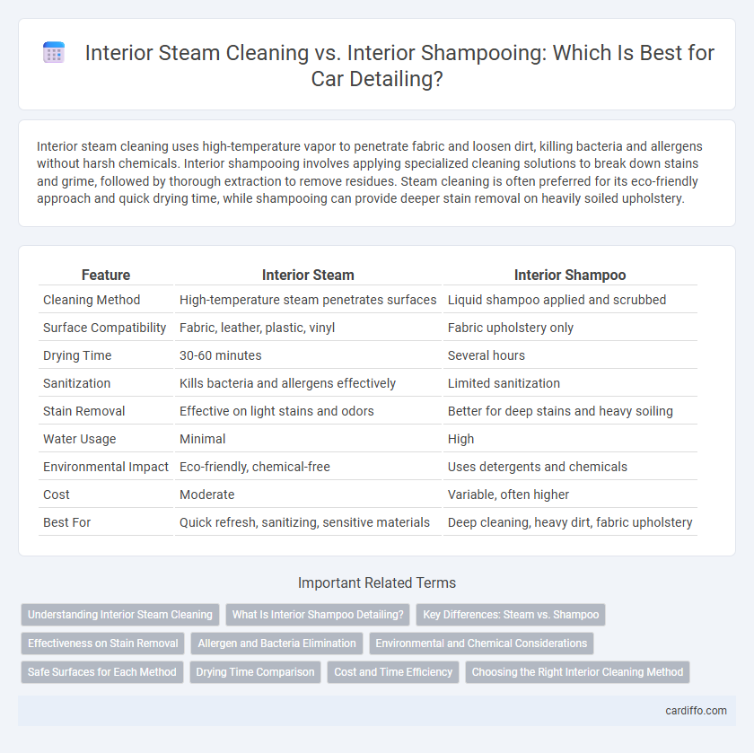 Interior Steam Cleaning vs. Interior Shampooing: Which Is Best for Car Detailing?