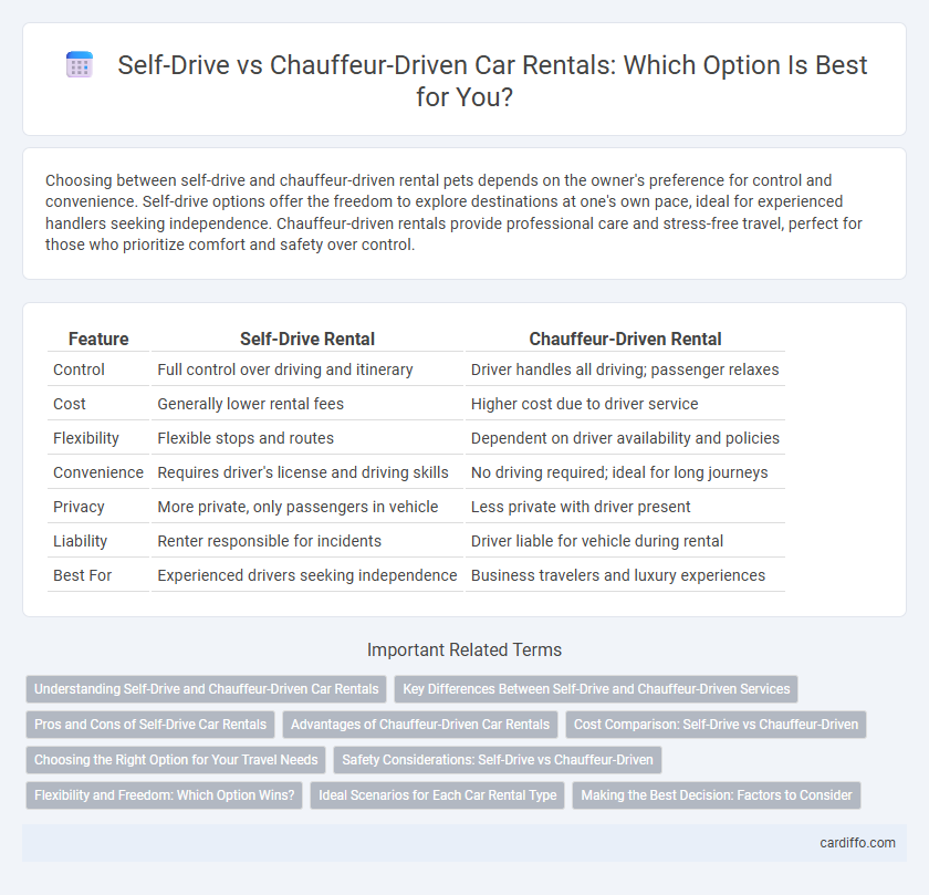 Self-Drive vs Chauffeur-Driven Car Rentals: Which Option Is Best for You?