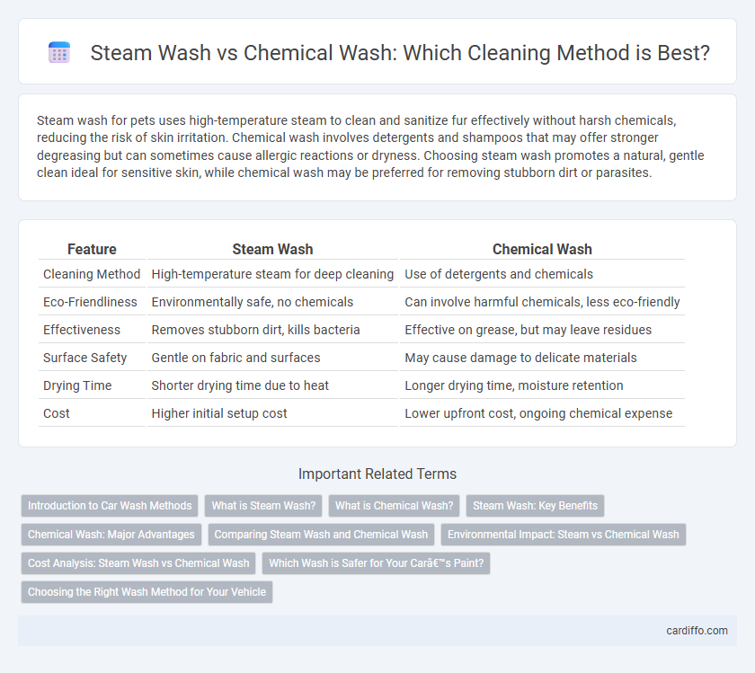 Steam Wash vs Chemical Wash: Which Cleaning Method is Best?