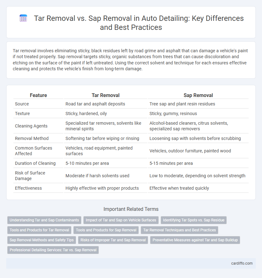Tar Removal vs. Sap Removal in Auto Detailing: Key Differences and Best Practices